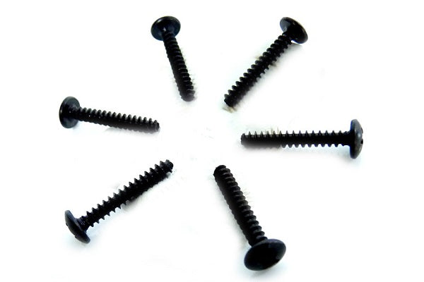 02081 Cap Head Self Tapping Screws 3 x 8 mm