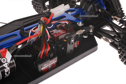 Himoto 1:10 Buggy Purple Haze